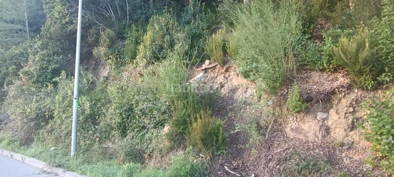 Foto e7a70681-32e0-450a-9d2c-6cb2d8bae2d7. Terreno residencial terreno en urbanización ciutat jardí en Palafolls