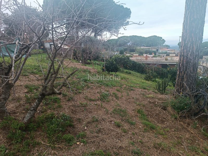 Foto 1cf0c0e5-386f-4e30-8460-0c4fbefe354f. Terreny residencial a Lloret Residencial - Montlloret Lloret de Mar
