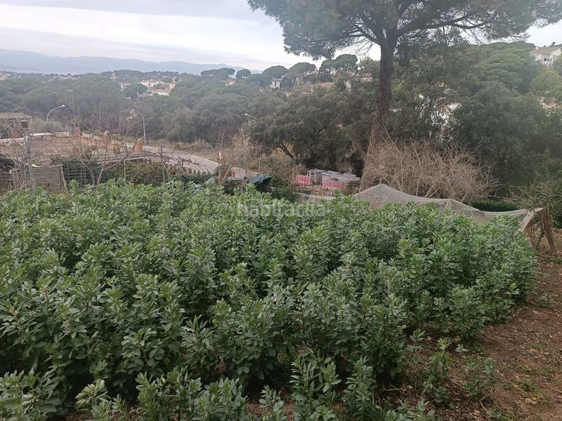 Foto 926dda32-1525-4cb9-81b0-a9f38d8be537. Terreny residencial a Lloret Residencial - Montlloret Lloret de Mar
