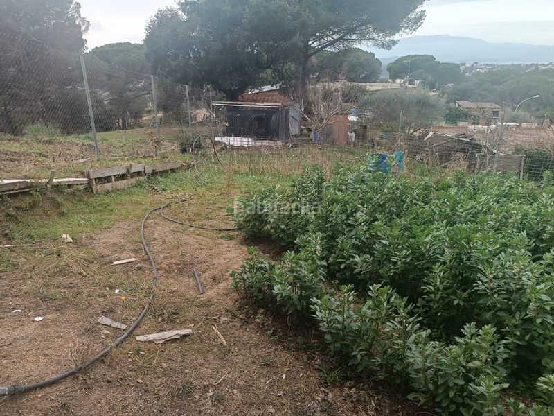 Foto d12d9a5e-f4e9-49b5-bab7-ec10bd91f61a. Terreny residencial a Lloret Residencial - Montlloret Lloret de Mar
