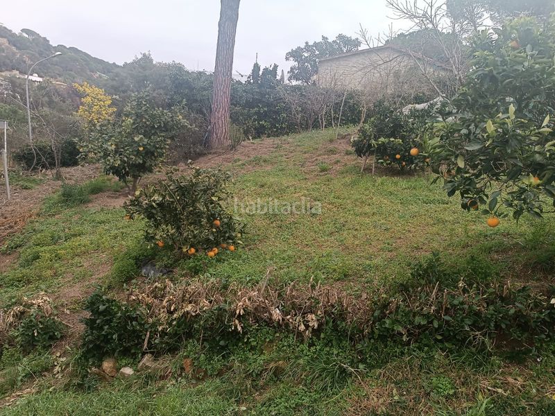 Foto e881ba3c-127f-4763-aed0-cfd8e5e2b7b9. Terreny residencial a Lloret Residencial - Montlloret Lloret de Mar