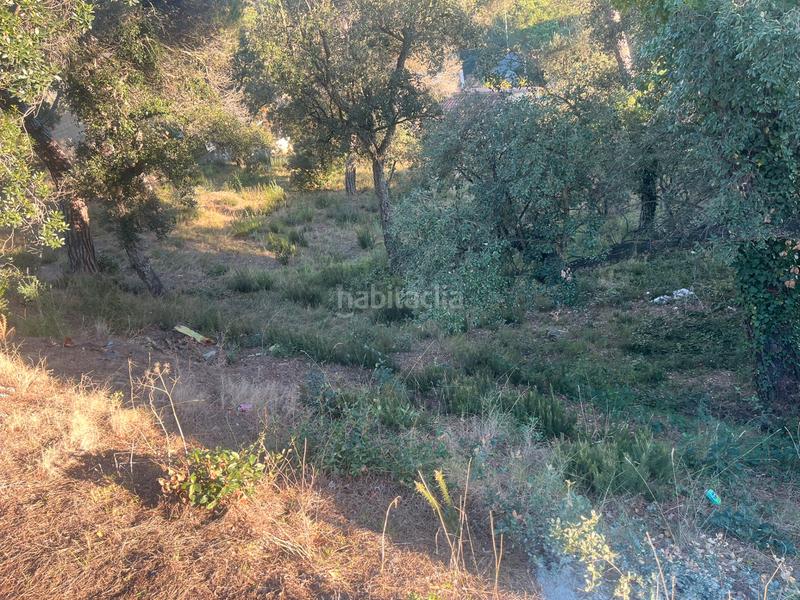 Foto e64db9b8-7a9b-4134-8c28-c98f245c6a64. Terreno residencial terreno en aiguaviva park () en Vidreres