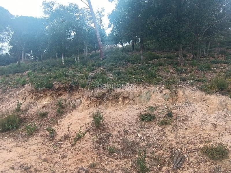 Foto 1aafa6ce-da4d-4c19-9b21-f156cb02c90e. Terreny residencial a Niàgara Parc -Àgora Parc Tordera