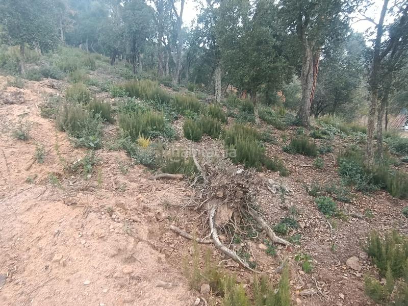 Foto 70d4f2a2-81c0-4eab-ba15-e9eca784e5a3. Terreny residencial a Niàgara Parc -Àgora Parc Tordera