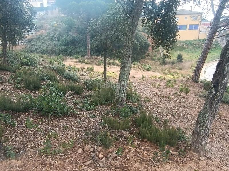 Foto 93d25834-bbbb-49b5-a8b7-ea1e2e7730b4. Terreny residencial a Niàgara Parc -Àgora Parc Tordera