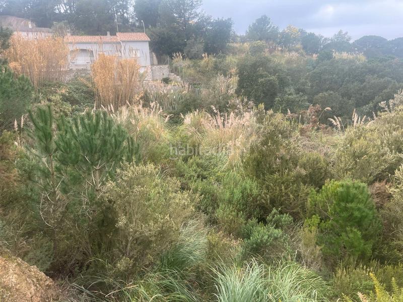 Foto bee13bd7-5638-495a-88dd-3a4065d0514f. Terreny residencial a Lloret Residencial - Montlloret Lloret de Mar