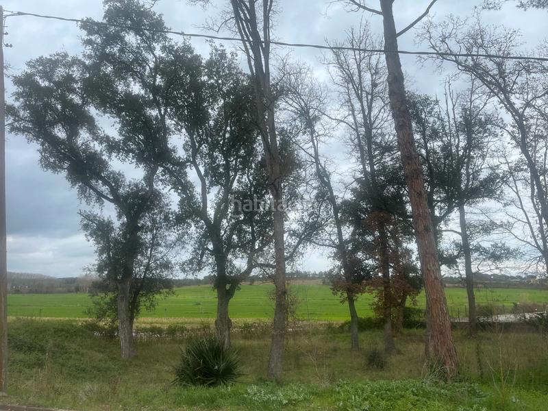 Foto 79705b9d-40d0-4863-bc78-8440bcb4e6e3. Terrain résidentiel dans Santa Coloma de Farners