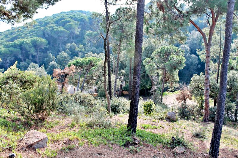 Foto 01f9f1ad-d622-4166-afa1-99857cf90cf5. Chalet with fireplace in Serra Brava Lloret de Mar