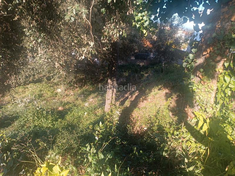 Foto 51044afc-72a0-439e-8fec-a97efb354918. Terreny residencial a Residencial Park Maçanet de la Selva