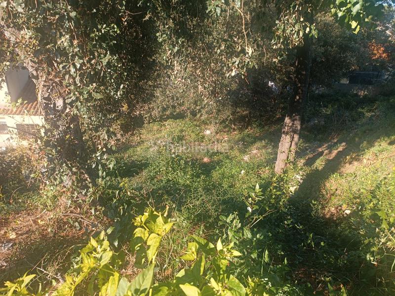 Foto ac9d9cd0-8b39-4fde-ac2e-0c8289559c5d. Terreny residencial a Residencial Park Maçanet de la Selva