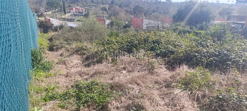 Foto 57e9b778-e484-4b16-9bbf-ece29bd5e4b6. Terreny residencial a Sils