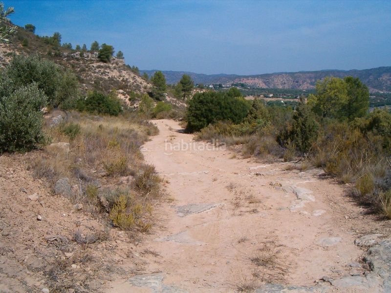 Foto bc3ef7b9-a6a6-442e-92a2-e5cf67f4587e. Finca rústica a Riba-roja d´Ebre