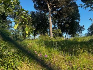 Residential Plot in Residencial Park. Terreno en residencial park
