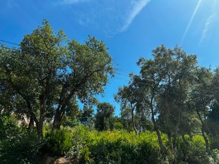 Terreny residencial a Lloret Blau - La Creu de Lloret