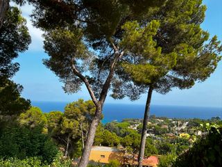 Terreny residencial a Santa Cristina-Sant Francesc. Terreno en cala sant francesc