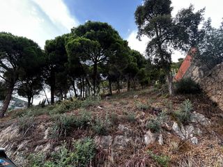 Terreny residencial a Roca Grossa