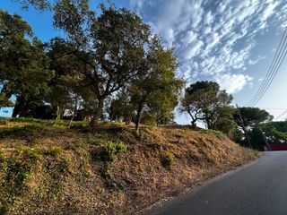 Residential Plot in Mas Mora-Sant Daniel. Terreno en mas mora