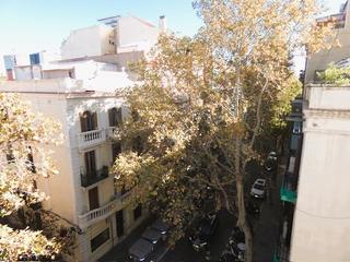 Pis  Carrer de melcior de palau
