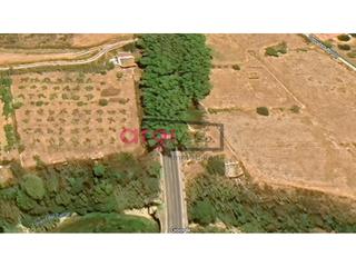 Finca rstica a Valls. Terreno rustico