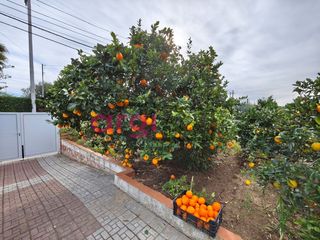 Casa a Mas Trader-Corral d´En Tort-Corral d´En Cona. Casa en venta urb. mas trader