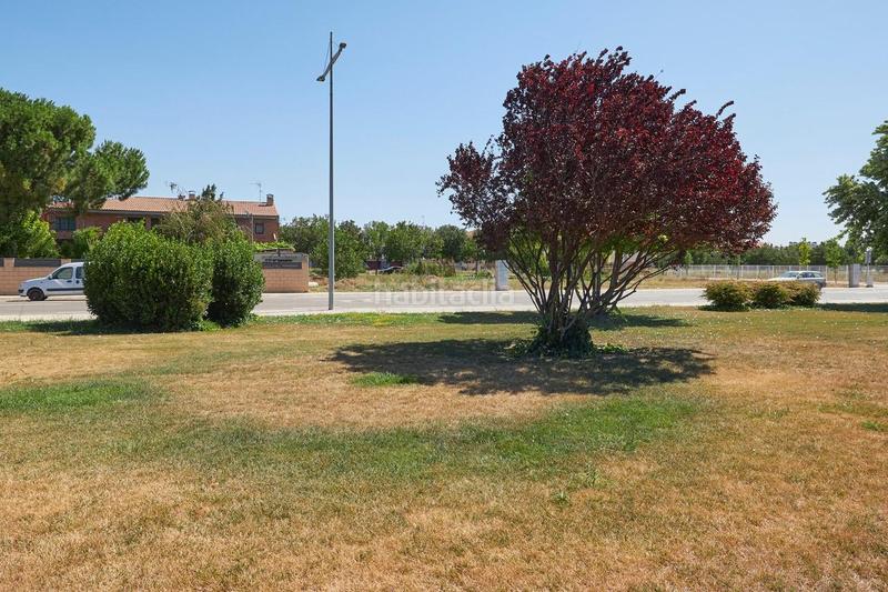 Foto f169c61e-170e-4915-874b-09f341fdfef8. Terreny residencial a de la sínia a Palau d´Anglesola (El)