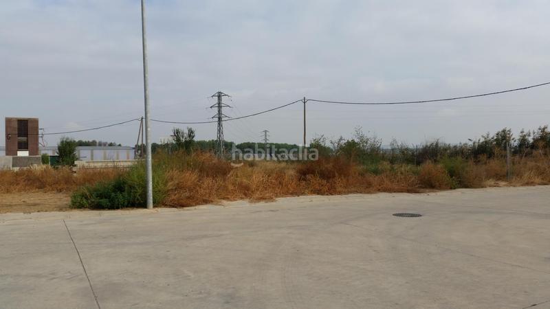 Foto 0934cbeb-9cdf-4433-badc-0843bed4500f. Terreny residencial a lluís companys 21 a Linyola