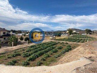 Terreno residencial en Tercia. Parcela en tercia