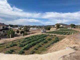 Residential Plot in Tercia. Parcela en tercia