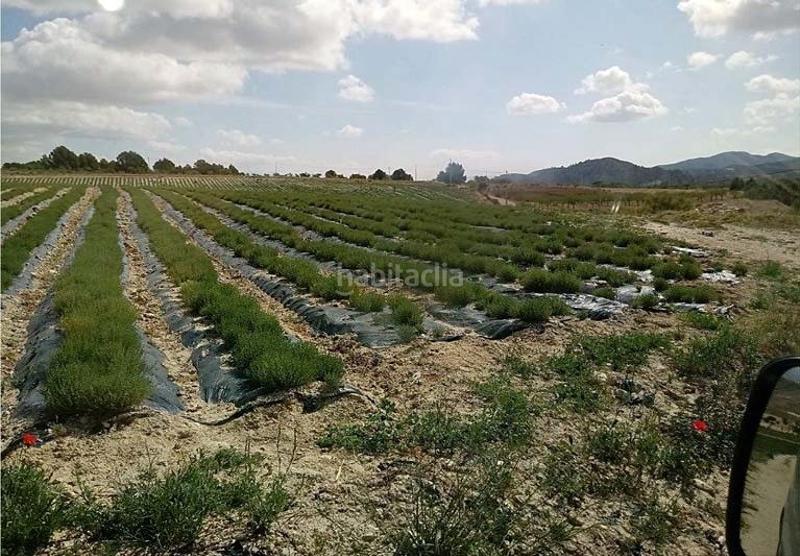 Foto 1bff8e0e-38c4-47af-8fb9-5851468a7ae6. Masia amb calefacció aparcament a Fontanares Lorca