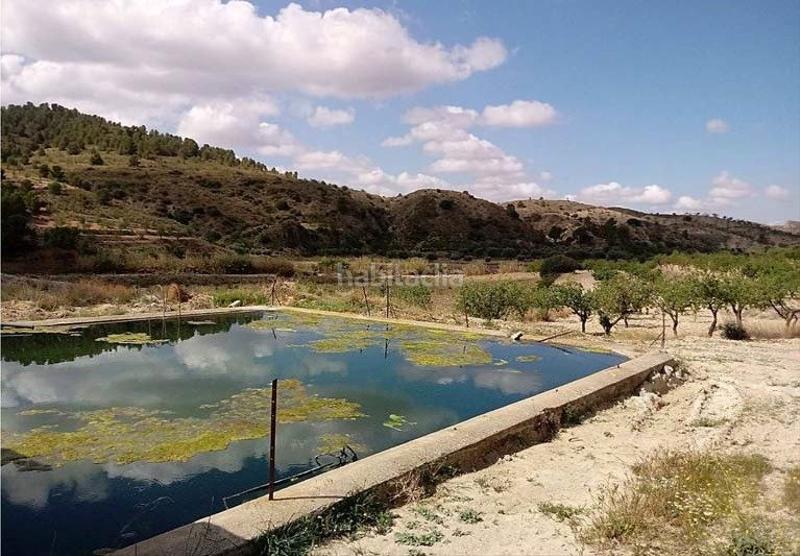 Foto 1e8905dd-1e8e-469b-9856-13617880fddf. Masia amb calefacció aparcament a Fontanares Lorca