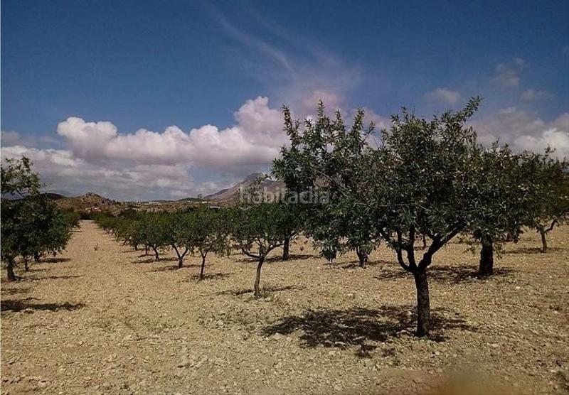 Foto 79cbdec2-81cf-42e8-b025-d98d1b8884e4. Masia amb calefacció aparcament a Fontanares Lorca