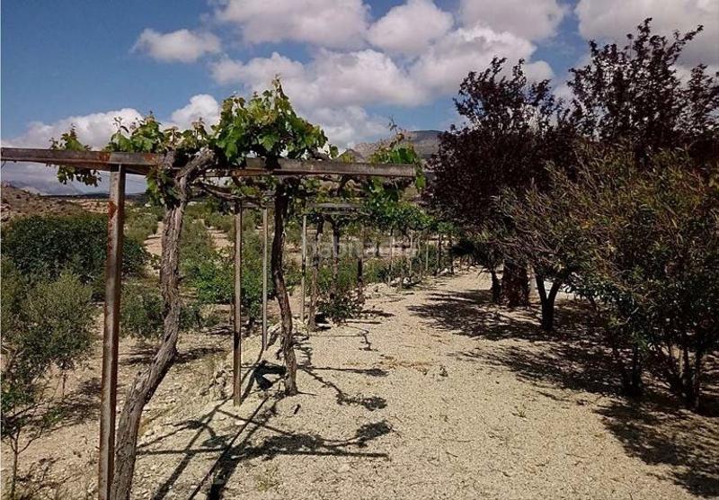 Foto a4d3f526-d0f2-401f-92d7-d671d9317638. Masia amb calefacció aparcament a Fontanares Lorca