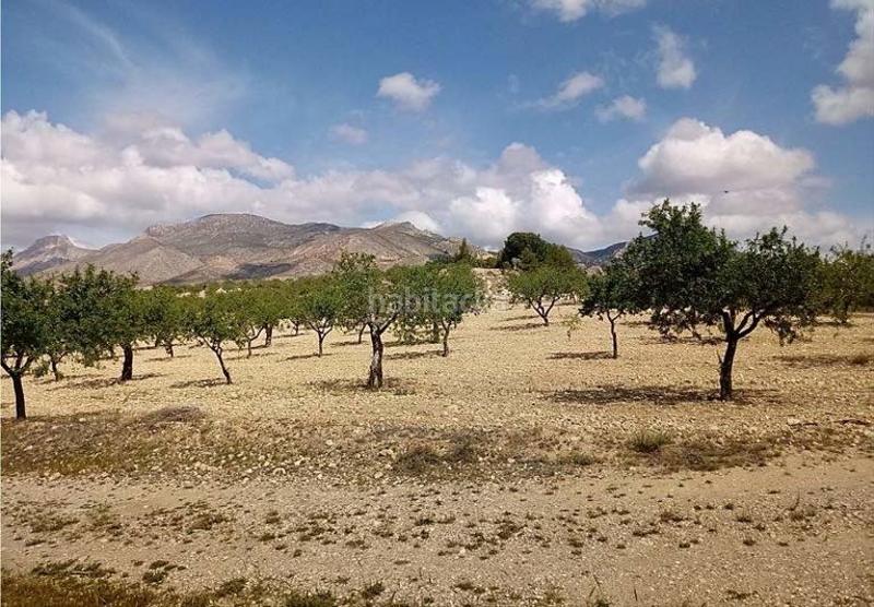 Foto dfbc90f2-1a44-4e1c-a89b-204716772bcd. Masia amb calefacció aparcament a Fontanares Lorca