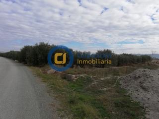 Wohngrundstück in Puerto Lumbreras. Estupenda parcela en el esparragal para construccion de vivienda