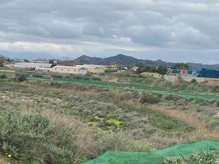 Terrain résidentiel à Tercia. Estupenda parcela con nave en tercia