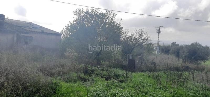 Foto bec1ab4b-eb2f-4895-a137-6edf19fe32f8. Masía estupenda casa con terreno en la Escucha en Lorca