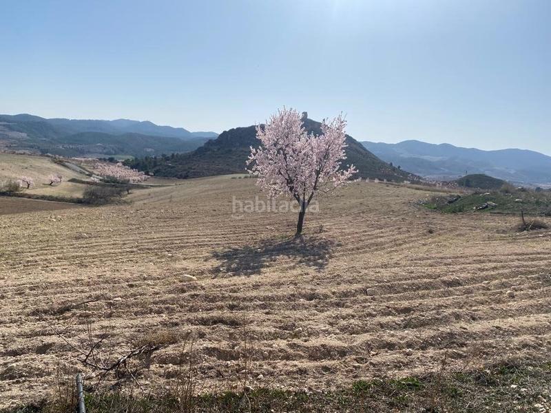 Foto 216d97fc-588b-44dc-a240-cb4ed590824f. Masia amb aparcament a Fontanares Lorca