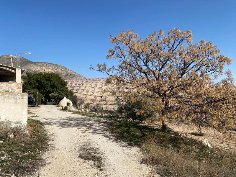 Foto 3523a92e-2f6e-4526-8d9b-496957c443ab. Masia amb aparcament a Fontanares Lorca