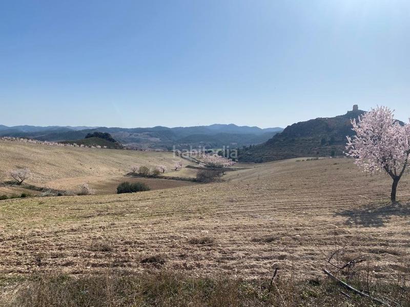 Foto 893ced3a-6087-4050-95da-5604c703f41a. Masia amb aparcament a Fontanares Lorca