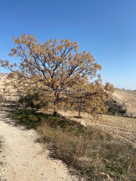 Foto 9fb9ce59-4a51-4252-a660-dcda140af1c2. Masia amb aparcament a Fontanares Lorca