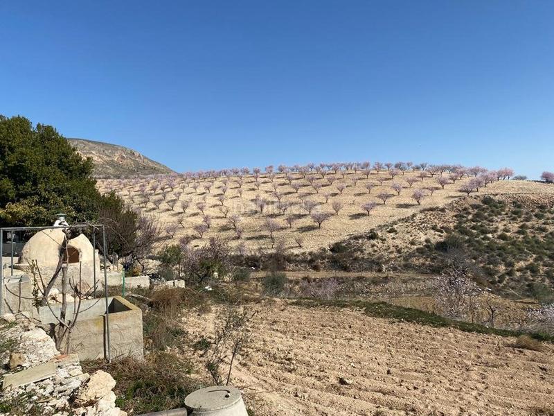 Foto bbab4524-50de-4090-a5a9-a87f6e0baab3. Masia amb aparcament a Fontanares Lorca