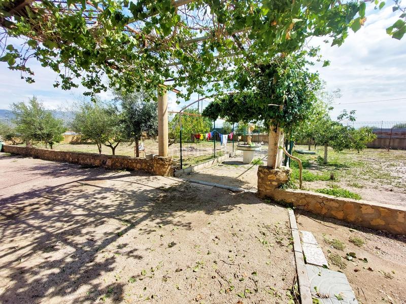Foto 79973a8d-dde9-4a98-8157-dc5127aeccbc. Mas dans Aguaderas Lorca