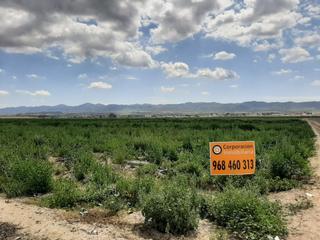 Residential Plot in Cazalla. Parcela camino feli