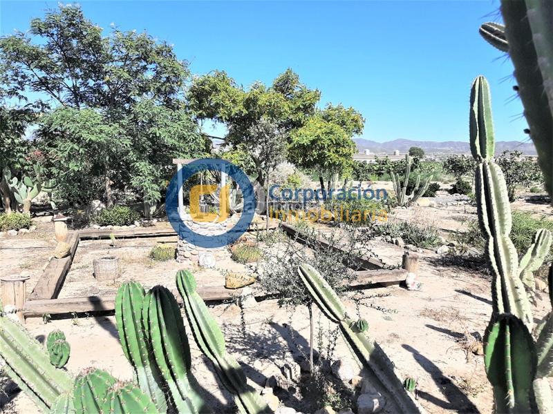 Foto b7932272-5652-451f-9f20-e8707825cabf. Casa con riscaldamento in Purias Lorca