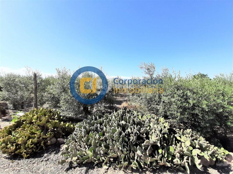 Foto f65cac32-b4b1-4d79-83e7-c3e5db9d483e. Casa con riscaldamento in Purias Lorca