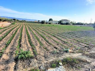 Residential Plot in Cazalla. Parcela para construir vivienda unifamiliar en cazalla