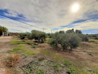 Terrain résidentiel à Torrecilla. Parcela en la torrecilla para edificacion de vivienda unifamilia