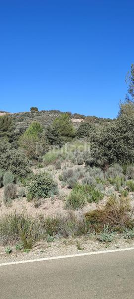 Foto 64fa3fac-2596-4af8-8cd6-7e5a7ead95a9. Mas avec chauffage dans Zarzalico Lorca