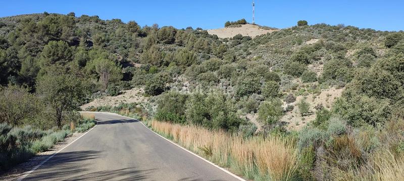 Foto de0accec-2aeb-43b6-b91c-64062e3ca84c. Mas avec chauffage dans Zarzalico Lorca