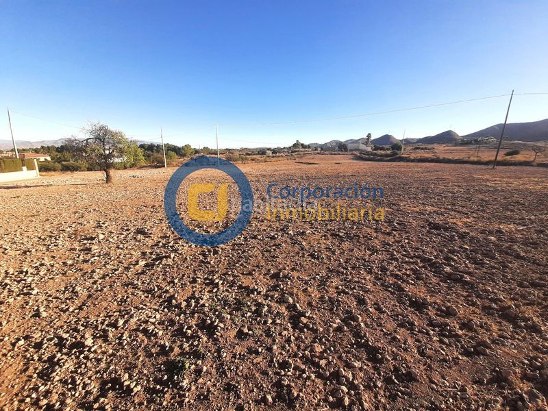 Foto 3ef29717-c085-4ef1-915e-33c090a54ba2. Terreny residencial a Purias Lorca